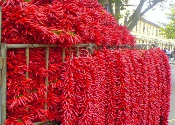 Nieuw Gewas de Aziatische Droge Chili Peppers Spicy Popular In Sichuan Restaurants van 4-7 Cm