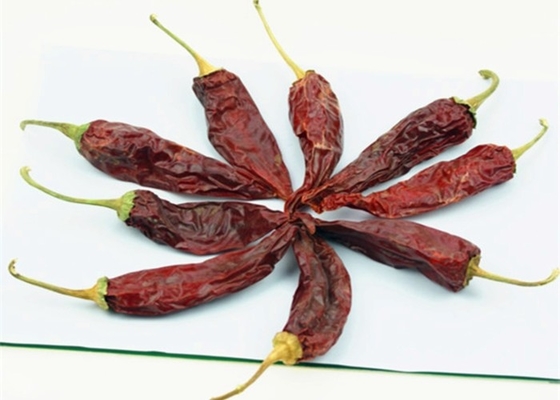 Rode Jinta Chili Peper Fruitige Rookige Aroma 8%-12% Vocht 10-15 cm