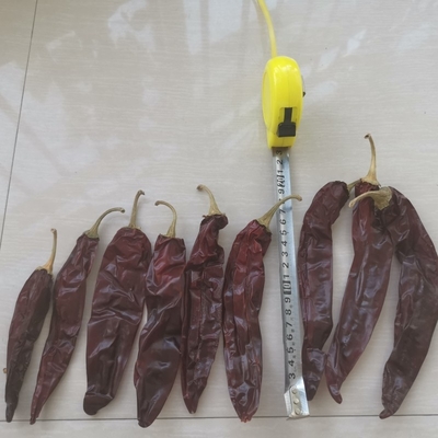 Gehele / Stok 10-15 cm Lengte Gedroogde Guajillo Chili Voor stoofpotten