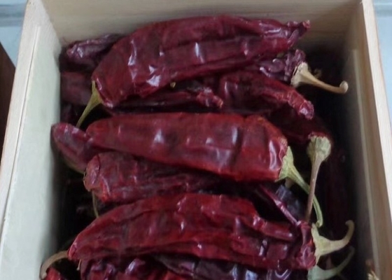 Gehele Guajillo Chili met/zonder Stem 500SHU Rood Sterk Smerige Chili