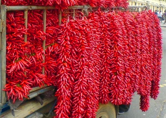 20000 SHU Dried Chinese Chilis Vacuume die de Kruidige Spaanse pepers van Chaotian inpakken/Tianjin-