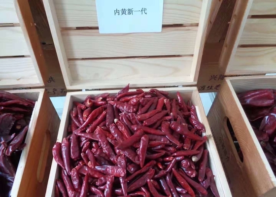 Stemless Chinese Droge Rode de Spaanse peperspeper Hoge SHU van Chaotian Szechuan