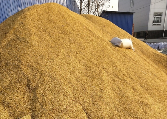 SHU5000-15000 Gedroogde Tianjin of Yidu Hybrid Chili Zaden voor kruidenpoeder