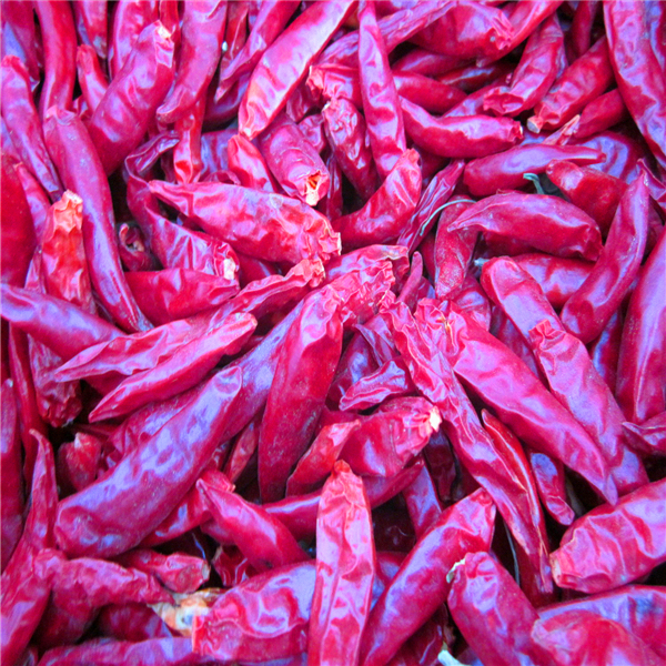 4-7 cm Cayenne gedroogde rode chilipepers Bergingstoestand Koel en droog