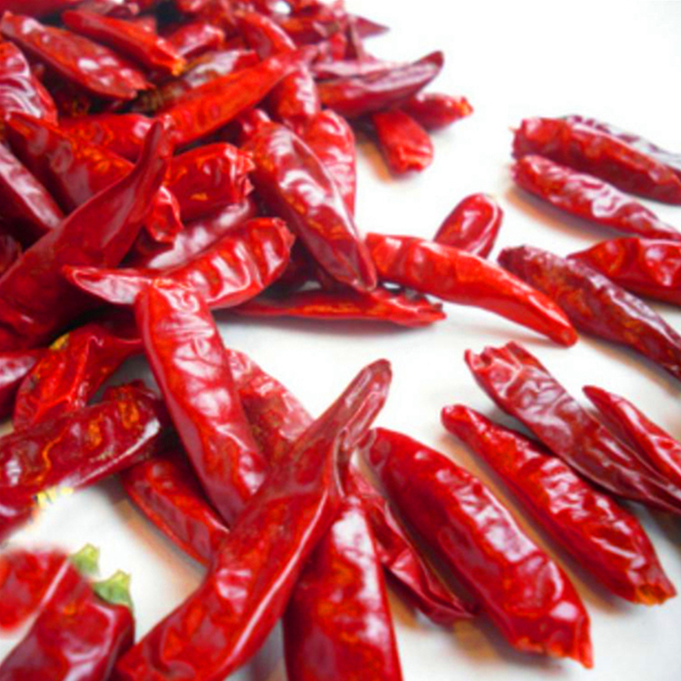 Halal stengelloze gedroogde rode chilipepers met 14% maximale vochtigheid - koele en droge plaats