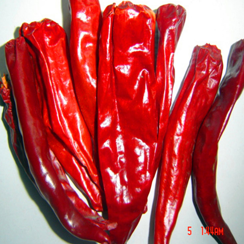 Hot Pot / Sichuan-keuken Moet-hebben gedroogde rode chilipepers met sterke scherpe smaak