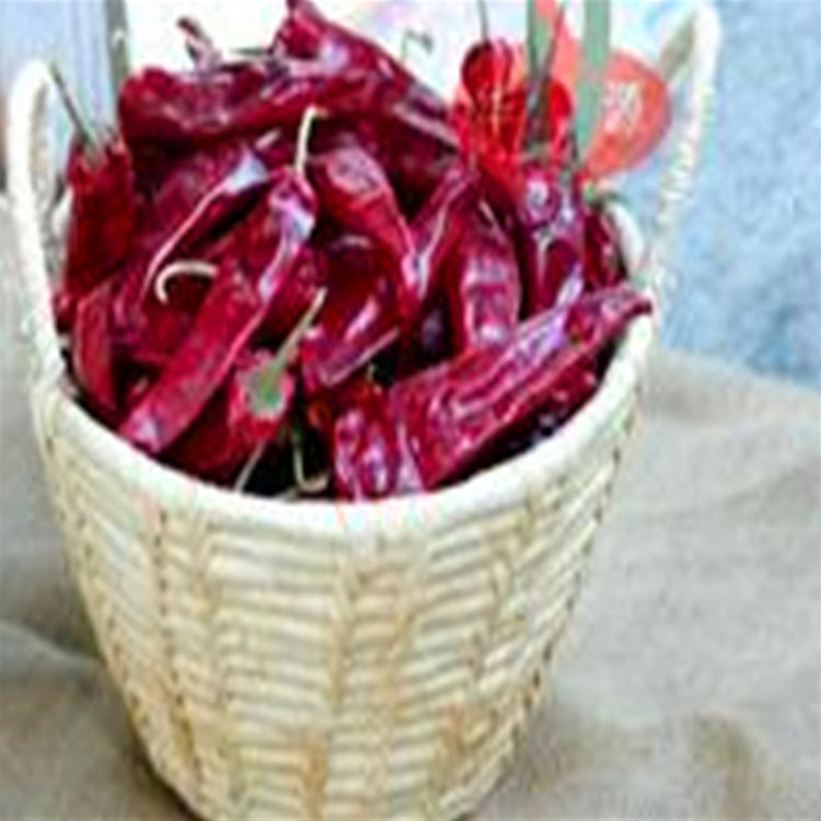 Oorsprong Kruidige smaak Chinese gedroogde chilipepers GEEN Allergeen Informatie 14 Cm