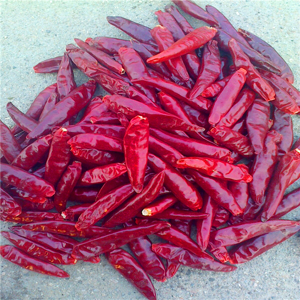 HACCP Chinese gedroogde chilipepers Voedingsfactoren Rijk aan vitamine C Lengte 4-14 cm