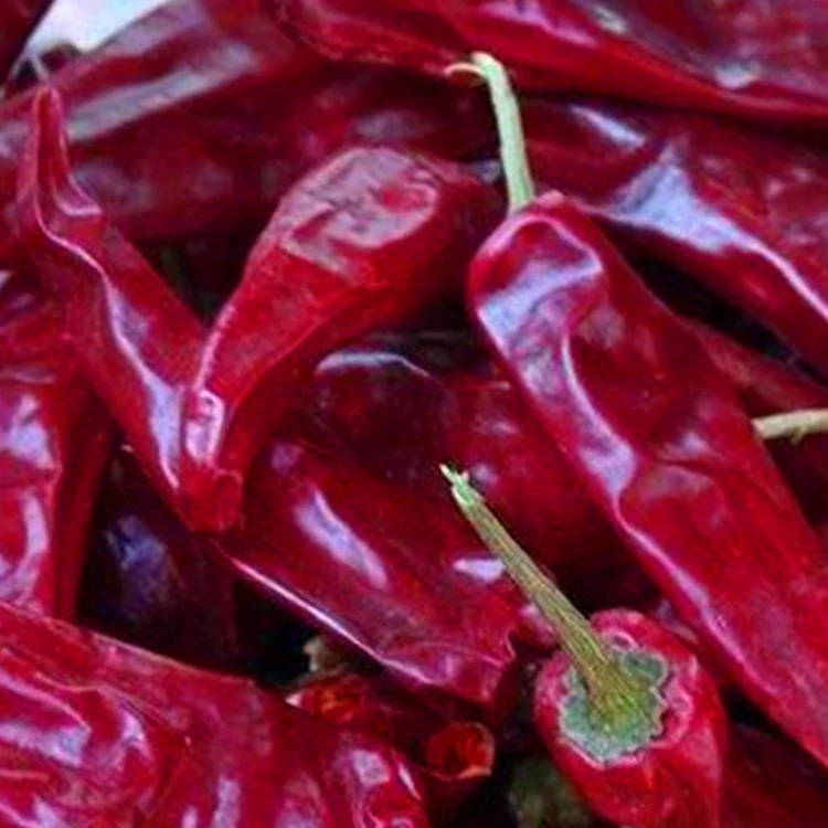 Luchtgedroogde gedroogde rode chilipepers voor pittige hot pot en Sichuan keuken