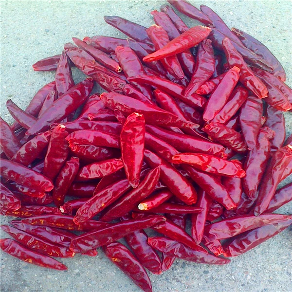 Tianjin Red Chilies in vitamine C, geteeld in Tianjin Chili velden bij kamertemperatuur