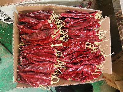Spanje Oorsprong Gedroogde rode chilipepers met een onweerstaanbare smaak 12000shu