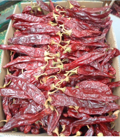 Gedroogde rode zoete paprika chili kleurpigment extractie hete chilipepers